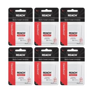 REACH Waxed Dental Floss, Cinnamon, Plaque Remover for Teeth, Shred Resistant, Floss Slides Smoothly, Easy to Use, Waxed, Deep Cleaning Teeth, Oral Care, PFAS Free, for Adults & Kids, 1 Pack, 55 yd(6 Pack (55 yards))